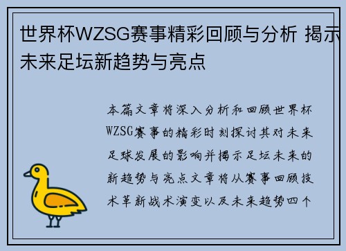 世界杯WZSG赛事精彩回顾与分析 揭示未来足坛新趋势与亮点